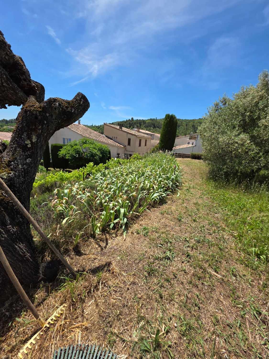 Jardin entretenu avec vue sur un village de Haute-Provence